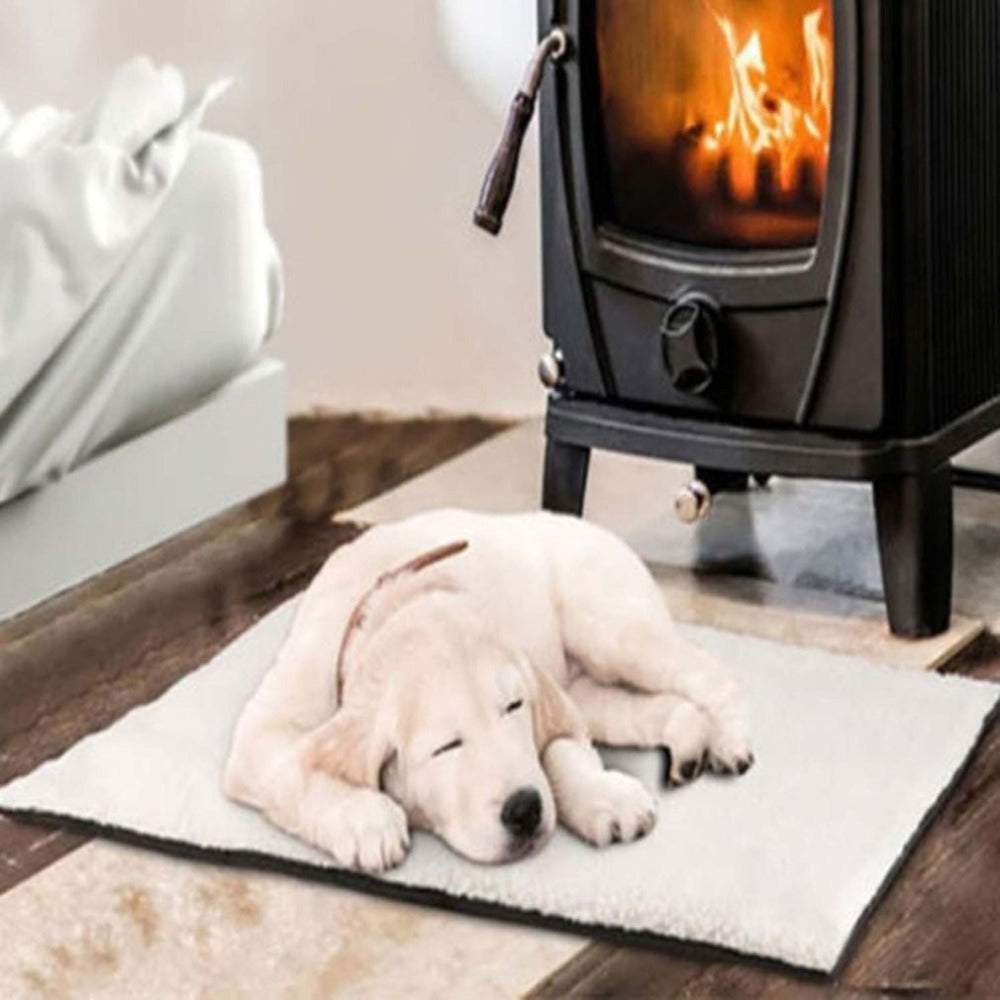 Dog resting on the self-warming pad by a fireplace