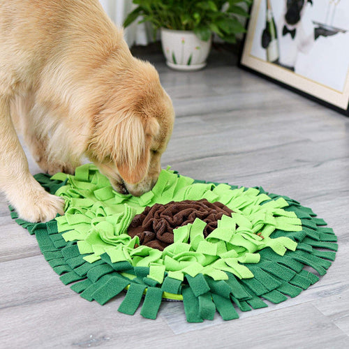 Dog sniffing for treats in the snuffle mat