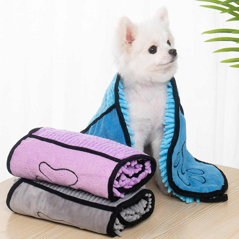 Dog in the robe