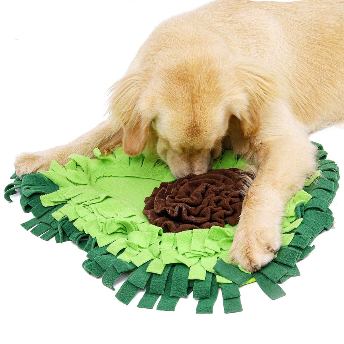 Dog using the snuffle mat