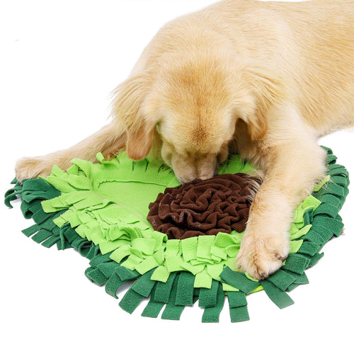 Dog using the snuffle mat