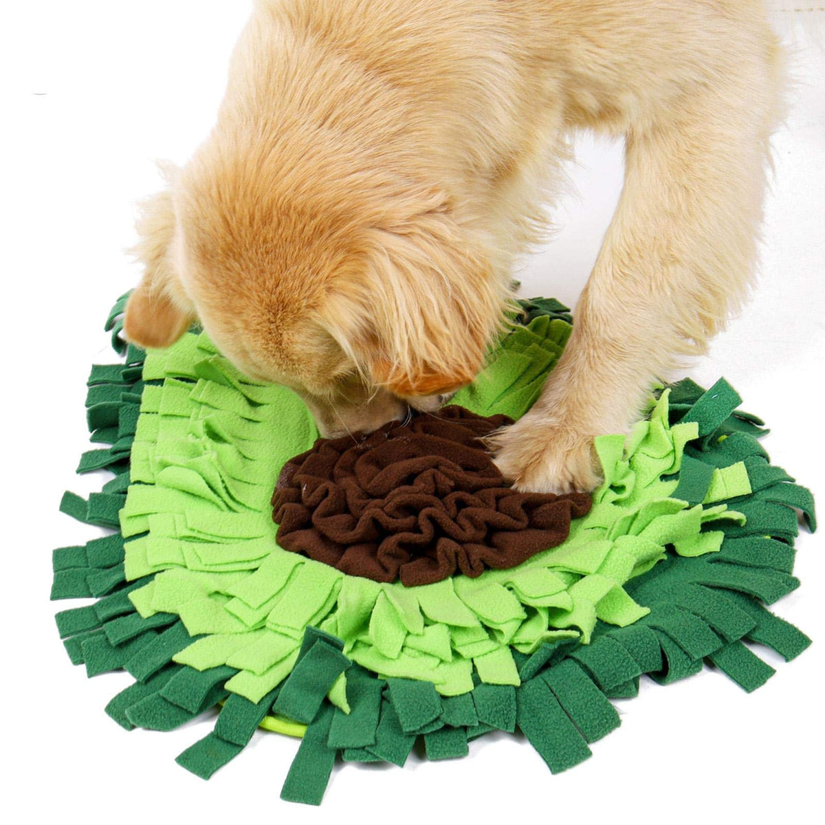 Dog nosing through the snuffle mat